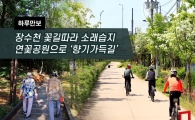 [One Day Walk] Following Jangsuchun Flower Path to Sorae Wetland Lotus Park 'Fragrant Path'