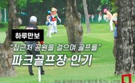 [하루만보]집근처 공원서 걸으며 골프를…파크골프장 인기