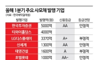 [자금조달 우회로]②공모채 발행 어려운 기업들 사모채 의존