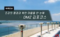 [하루만보]조강의 풍경과 북한 마을을 한 눈에…DMZ 김포코스