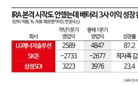 IRA 시작도 안했는데…배터리3사·양극재 기업, 이익 창출 본격화