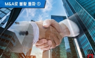 [M&A로 불황 돌파]①유동성 확보에 기업매물 쏟아진다…"현금 가진 기업은 호기"