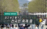 [하루만보 하루천자]걷고 보고 즐기고…전국은 축제 중