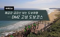 [하루만보]해금강·금강산 보는 도보여행 …DMZ 고성 도보코스