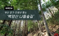 [One Day Walk] Busan Walking & Life Shot Spot ‘Baekyangsan Nadeul Forest Trail’