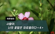 [하루천자]사람아, 너의 꽃말은 외로움이다＜4＞