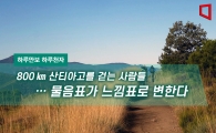 [하루만보 하루천자] 800㎞ 산티아고를 걷는 사람들…물음표가 느낌표로 변한다