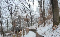 [하루만보] 일상 속 작은 쉼터…“원주 근린공원 숲길서 쉼표를”