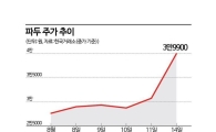 IPO 때 체면 구긴 대어 ‘파두’ 단숨에 명예회복?