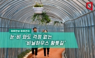 [하루만보 하루천자]눈·비 와도 걱정 없는 '비닐하우스 황톳길'