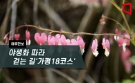 [하루만보]야생화 따라 걷는 길 '가평18코스' 