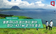 [하루만보하루천자]몸뿐 아니라 정신까지 맑아졌다…437㎞ 걷기의 효과