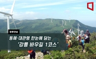 [하루만보]동해·대관령 한눈에 담는 '강릉 바우길 1코스'