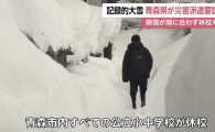"괜히 갔다가 큰일 날라" 무서워서 여행 포기…폭설에 30명 숨지고 난리난 日