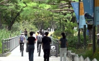 [공원의 미래⑦]"공원+콘텐츠=돈" 정원박람회 열린 서울숲, 상권 매출도 '껑충'
