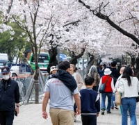 관광공사, 빅데이터 기반 관광 개발 사업 컨설팅 지원