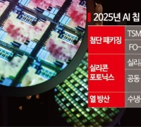 TSMC, 美공장 비용 폭탄에도 내년 매출 25% 성장? 이유는[대만칩통신]