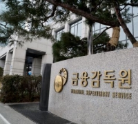 금감원 "온라인 대출 중개업자 현장점검 나선다"