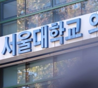 서울의대 교수들 전공의 작심 비판…"오만하다"