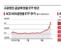 Gold Spot ETFs Scale Up by 1 Trillion Won Amid Soaring Prices... How Far Will the "Kimchi Premium" Go?