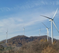 [Report] "Four Times the Bank Interest"... Taebaek Citizens Earning Money by Investing in Wind Power