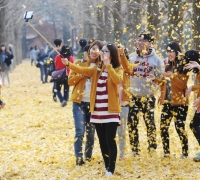 Songpa District Ginkgo Leaves Sent to Nami Island... A 20-Year-Long Promise Continues