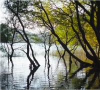 "2025 Aurum Hwangchil Festival" to Open in Muan, South Jeolla on November 19