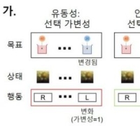 [과학을읽다]KAIST, '뇌처럼 배우는 AI' 실마리 찾았다