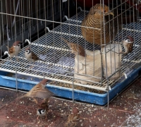 [이미지 다이어리] 마음껏 먹으렴