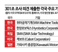 [단독]"현지 산업 비용 증가"…韓기업 美USTR '301조 관세 면제' 요청 내용 살펴보니(종합)