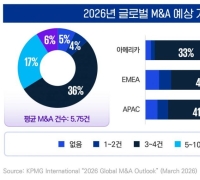 "M&A, 속도 보단 실행력…분리매각 '카브아웃' 각광"