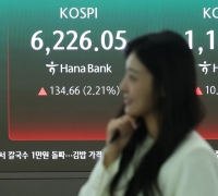 "SK hynix Shares My Mother Bought at 30,000 Won Now Worth 900 Million Won"... 3,000% Profit Bonanza