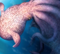 Did the Legendary Monster "Kraken" Really Exist?...19-Meter Octopus Fossil Discovered