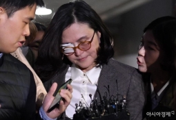 '정경심 일단 기소하고 보자?'…판사 화만 불렀다