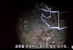 생방송 중 시체 발견…시청자들 '경악'
