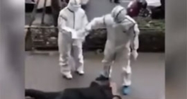 '신종 코로나' 팩트 체크