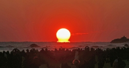 당신의 꿈은 안녕하십니까