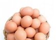 계란 노른자, DNA 손상 억제…"암세포 줄이는 식품 나온다"