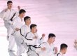 평창 동계올림픽, 북한 태권도 시범단의 공연