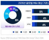 "M&A, 속도 보단 실행력…분리매각 '카브아웃' 각광"