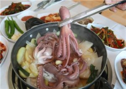 쓰러진 황소 일으키는 낙지…이유 찾았다[과학을읽다]