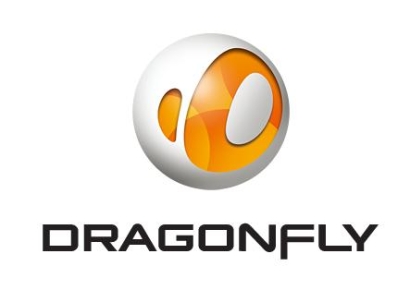 [기로의상장사]드래곤플라이①불안한 지배구조에 실적↓…결국 감자까지