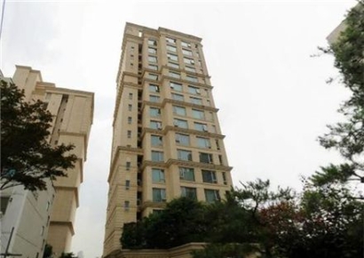 100억원 현금 매수…초고가 등록임대 아파트 절반이상 대출규제 '무풍지대'[부동산AtoZ]