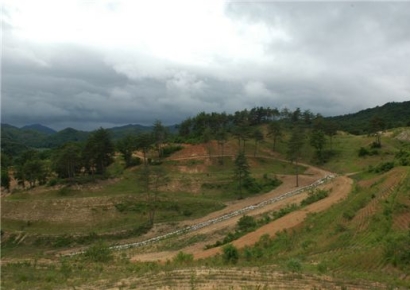 롤러코스터 주식시장에 '멘붕' 온 개미들 ○○○투자 주목하라[주末머니]