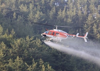 감염되면 무조건 말라 죽는다…치료약도 없다는 '이 병' 확산 어쩌나