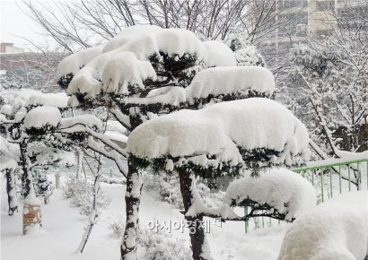 [내일날씨]전국 눈·비 예보…강원·경기북동부 밤사이 눈 쏟아진다