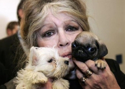 프랑스 배우 브리지트 바르도 별세…향년 91세