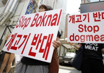 동물보호단체들 "개 식용 없는 대한민국의 첫 발"