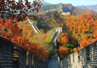 이번이 처음 아니다…'노출' 사진 찍다 체포되고 추방 당하는 관광객