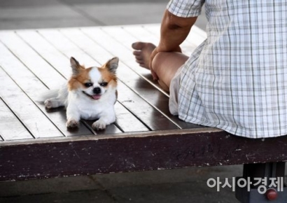 "연휴 놀면 뭐해요, 짭짤한 알바가 남는거지"…'집청소·펫시터 해주실 분' 눈길